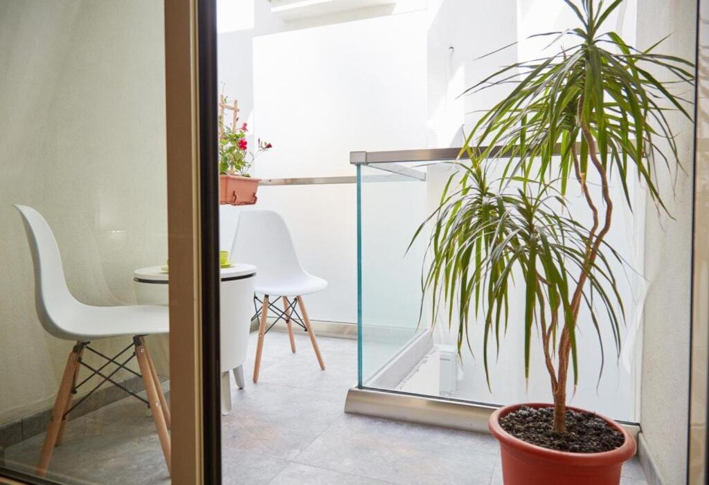 Lemon Bite Studio Stefan Building Năvodari المظهر الخارجي الصورة